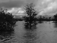 /album/galeria-de-fotos/borba-160-jpg/